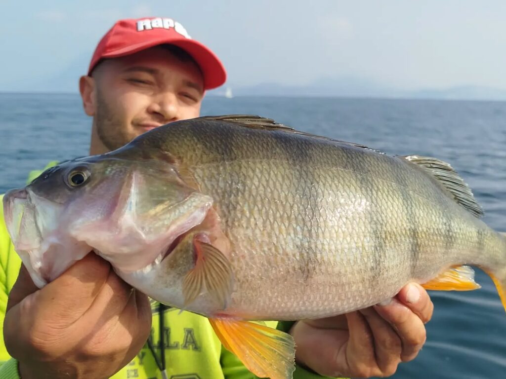 Contenuto Instagram di @pelagic_fishing_predator