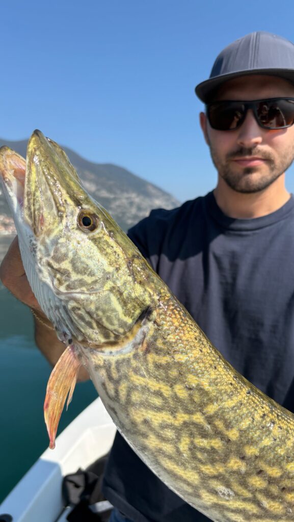 Contenuto Instagram di @beppe_lake