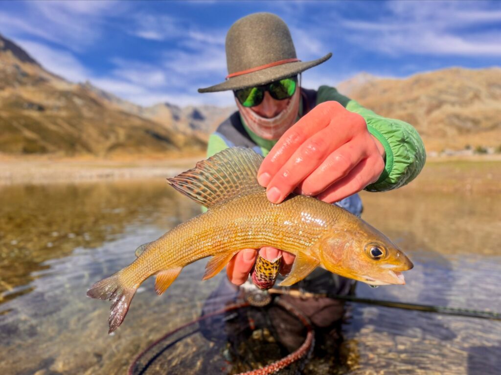Contenuto Instagram di @froestaflyfishing