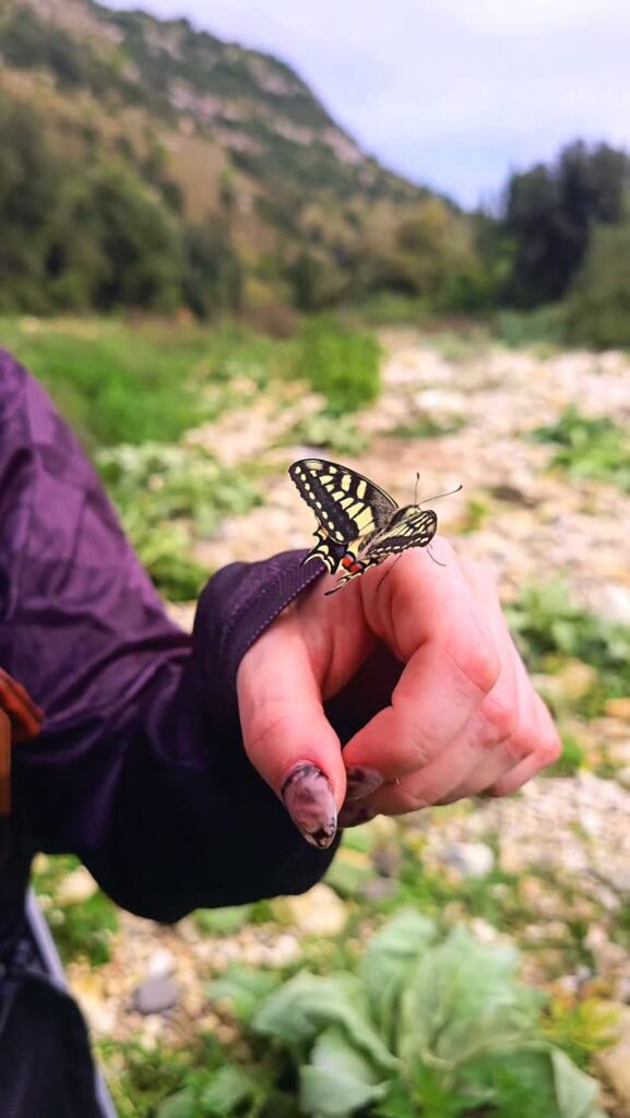 Contenuto Instagram di @fly.fishing.sicily.experience