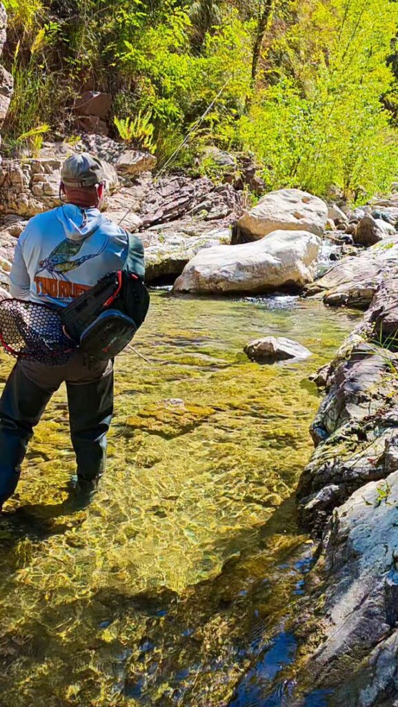 Contenuto Instagram di @sicilian_fishing_guide