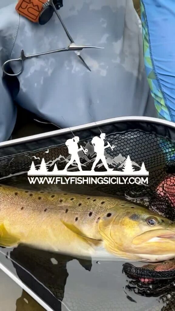 Contenuto Instagram di @fly.fishing.sicily.experience