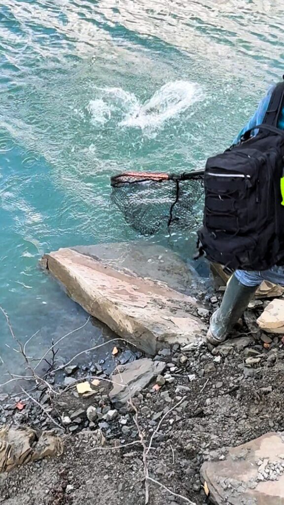 Contenuto Instagram di @sicilian_fishing_guide