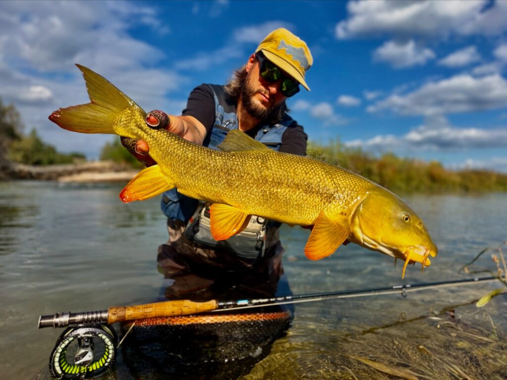 Contenuto Instagram di @froestaflyfishing
