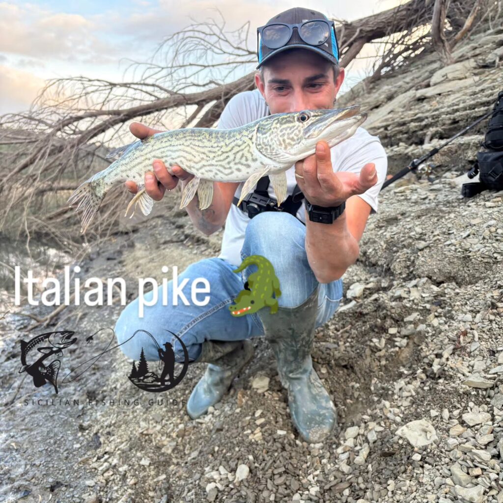 Contenuto Instagram di @sicilian_fishing_guide