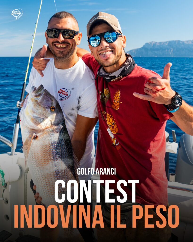 Contenuto Instagram di @fishyourdream_italy
